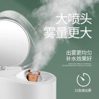 美克斯（MKS） NV8398A 蒸脸器 蒸脸仪冷热喷香薰 320W（单位：台）