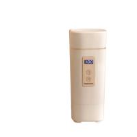 大宇（DAEWOO） D2 电水壶 450ml （单位:个）
