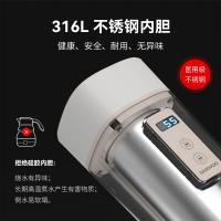 大宇（DAEWOO） D2 电水壶 450ml （单位:个）
