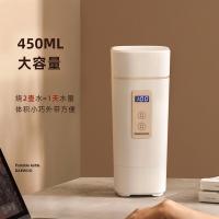 大宇（DAEWOO） D2 电水壶 450ml （单位:个）