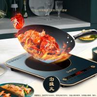 苏泊尔（SUPOR） C22-IH99 电磁炉 2200W 含汤锅+炒锅 （单位：套）