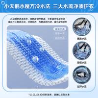 小天鹅（LittleSwan） TD100V618T 滚筒洗衣机 10kg 黑色（单位：台）