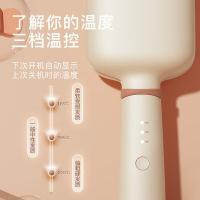 雷瓦 RB-8365 S型卷发棒 80W（单位：个）奶茶色