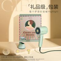 素士（SOOCAS） RH1 电吹风 1600W（单位：台) 原野绿