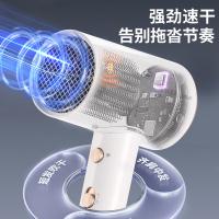荣事达（Royalstar） RC-210A 电吹风 1800W （单位:台）