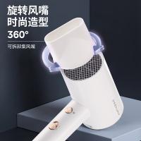 荣事达（Royalstar） RC-210A 电吹风 1800W （单位:台）