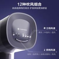松下（Panasonic） EH-NW90 电吹风 1200W（单位：台）绮光星焰粉