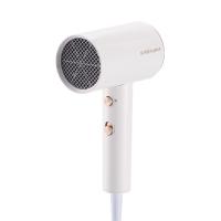 荣事达（Royalstar） RC-210A 电吹风 1800W（单位：台）颜色随机