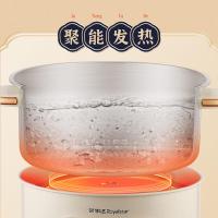 荣事达（Royalstar） RHG-30JF 电火锅 3L 上下分体设计 (单位:台)