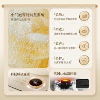 小熊（Bear） YSH-F15E1 小气泡养生壶 1.5L 黄色（单位：台)