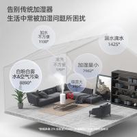 ZTK   A4无雾空气加湿器  上加水 大容量 大雾量  智能恒湿桌面冷蒸发式加湿器  10-28㎡（单位：台）