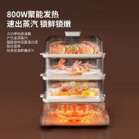 现代（HYUNDAI） XX-DZG08 多功能电蒸锅 18L (单位:台)