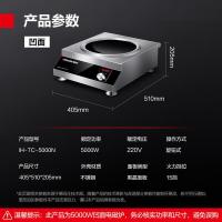 德玛仕（DEMASHI） IH-TC-5000N 5000w 220V 商用电磁炉 （单位：台）
