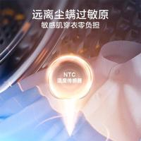 小天鹅（LittleSwan） TH100-HL02T 热泵烘干机 10公斤 金属钛 定频 (单位:台)