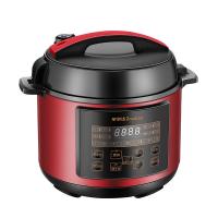 荣事达（Royalstar） YDG50-100A170（LB）H 全自动智能预约电压力锅 5L（单位：台）