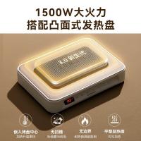 大宇（DAEWOO） S11PRO 电蒸锅 1500W（单位：台）白色