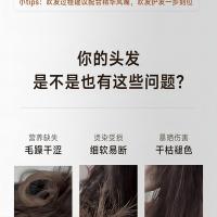 追觅 韶光G20 Pro 电吹风 1600W（单位：台）缎光红