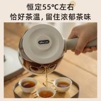 小熊（Bear）ZCQ-A05S1电水壶0.5L(单位：个)蓝色