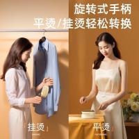志高（CHIGO） JW-228C 手持挂烫机 可折叠 30W（单位：台)