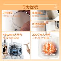 松下（Panasonic）NI-GSJ050-A 手持挂烫机 电熨斗 纳米水离子技术 增压蒸汽熨斗高端（单位：台）蓝色