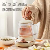 志高（CHIGO） YSB-03 电水壶 600ml（单位：台）