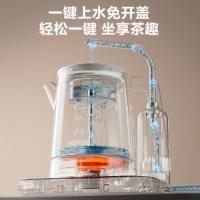 苏泊尔（SUPOR） SW-10C16 养生壶 1L 白色（单位：个）