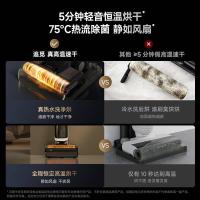 追觅 H30 Ultra 家用洗地机 污水箱容量：0.7L (单位：台) 黑色