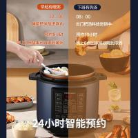 荣事达（Royalstar） 电压力锅 家用 50-100A157(LB) 5.0L 4台/箱 (单位:台)