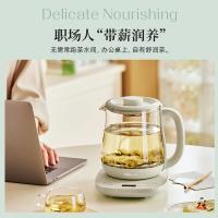 小熊（Bear） YSH-K15G6 养生壶带滤网 1.5L (单位:台)
