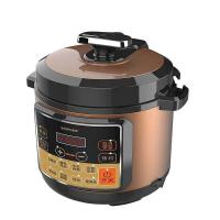 豹牌 BP-WD259 电压力锅 5L (单位: 台)