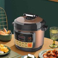 豹牌 BP-WD259 电压力锅 5L (单位: 台)