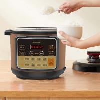 豹牌 BP-WD259 电压力锅 5L (单位: 台)