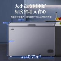 澳柯玛（AUCMA） BC/BD-300NEM 冰柜家用大容量卧式冰柜一级能效 300L 灰色 (单位:台)