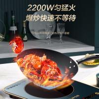 苏泊尔（SUPOR） C22-IH99 电磁炉 功率大面板 滑控触摸式2200W （单位：台）