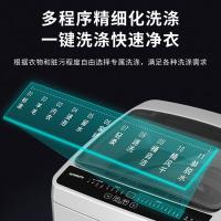 创维（Skyworth） 全自动降噪波轮洗衣机 清雅灰 GT65U24 6.5kg (单位:台)
