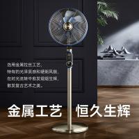 先锋（SINGFUN） 碳纤维双风叶复古扇 DLD-M9 298*298*1080mm (单位:台)