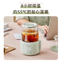 小熊（Bear）YSH-F04E1 养生杯 0.4L 360W（单位：个） 浅绿色