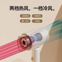 雷瓦 RC-7120 电吹风 800W（单位：个） 白配金