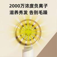 雷瓦 RC-7120 电吹风 800W（单位：个） 白配金