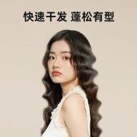 雷瓦 RC-7120 电吹风 800W（单位：个） 白配金