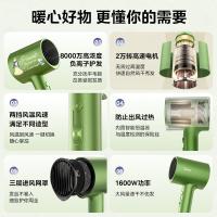 美的（Midea） MB-AJ0502 吹风机 1600W（单位：台）仙踪绿