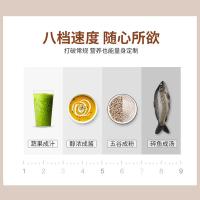 西屋（Westinghouse） WFB-D31 料理机 1.2L （单位：台）