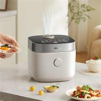 小熊（Bear） DFB-D30T1  电饭煲  3升 （单位：台）