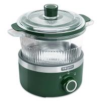 东菱（Donlim）DL-9002 电炖锅 额定容量1.5L+小内胆容量0.5L （单位：个） 深野绿