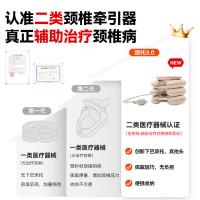 科普菲（KEEPFIT）BI 颈椎牵引器 充气款 （单位：台）