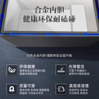 澳柯玛（AUCMA） BC/BD-147NEM 家用冰柜一级能效 147L 灰色 (单位:台)