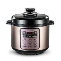 荣事达（Royalstar） YDG50-100A257 电压力锅 5L  (单位：台 )香槟金