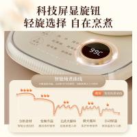 小熊（Bear） YSH-F15E1 养生壶 1.5L （单位：台）