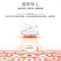 金稻（KSKIN） KD9960 美容仪 5W 168*46*45mm（单位：个）粉色