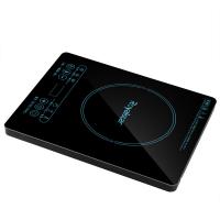 荣事达（Royalstar） C22-TD06 电磁炉 2200W 黑色（单位：个）